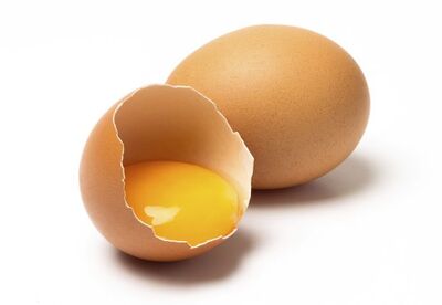 Beneficios de comer huevos Beneficios de comer huevos