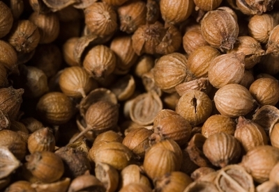 8 beneficios medicinales de las semillas de cilantro 8 beneficios medicinales de las semillas de cilantro