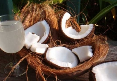 Beneficios de beber agua de coco Beneficios de beber agua de coco