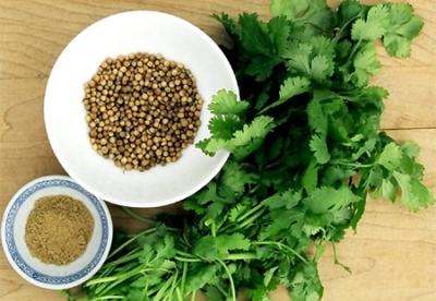 Beneficios del cilantro para la salud humana Beneficios del cilantro para la salud humana