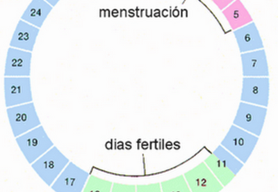 Calendario ovulación embarazo Calendario ovulación embarazo