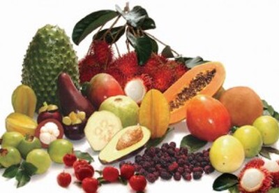 Nutrientes para el buen funcionamiento del páncreas Nutrientes para el buen funcionamiento del páncreas