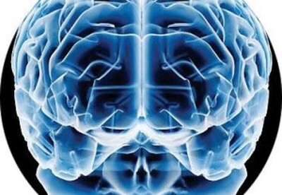 Alimentación y enfermedades neurodegenerativas Alimentación y enfermedades neurodegenerativas