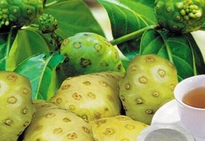 Cómo preparar el noni Cómo preparar el noni