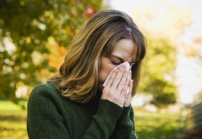 ¿Cómo curar la alergia con remedios naturales? ¿Cómo curar la alergia con remedios naturales?