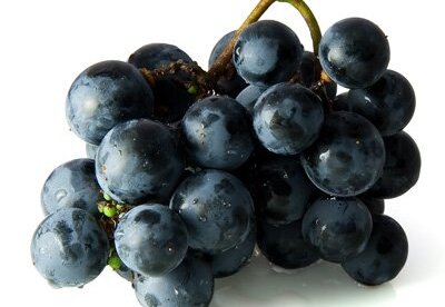 Resveratrol, un antioxidante muy potente Resveratrol, un antioxidante muy potente