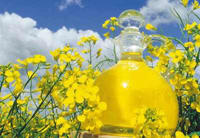 Propiedades del aceite de canola Propiedades del aceite de canola