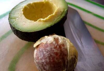 Semilla de aguacate: solución para varios males Semilla de aguacate: solución para varios males