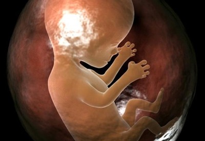 Feto pequeño| crecimiento intrauterino Feto pequeño| crecimiento intrauterino