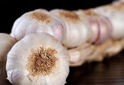 Aspectos destacados sobre el ajo Aspectos destacados sobre el ajo