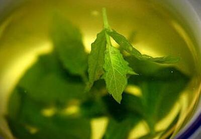 Los beneficios del té para prevenir el cáncer de ovario Los beneficios del té para prevenir el cáncer de ovario