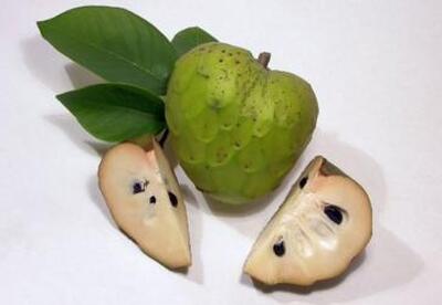 Época de chirimoyas: una buena forma de obtener micronutrientes Época de chirimoyas: una buena forma de obtener micronutrientes