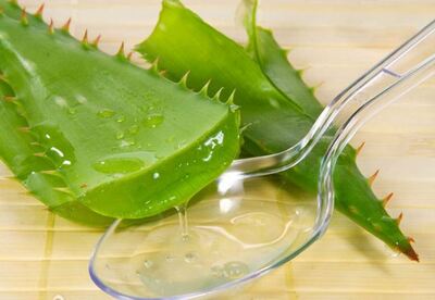 Efectos secundarios del aloe vera Efectos secundarios del aloe vera