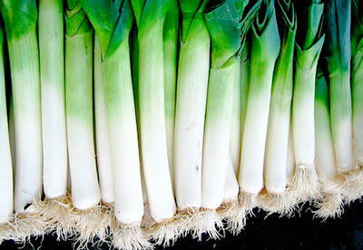 La composición nutricional del puerro La composición nutricional del puerro