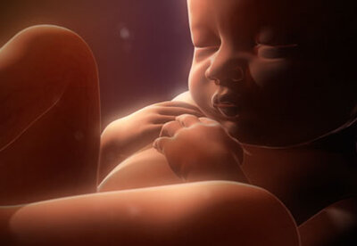Diagnóstico prenatal para detectar anomalías fetales al inicio del embarazo Diagnóstico prenatal para detectar anomalías fetales al inicio del embarazo