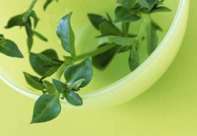 Remedios caseros para la pancreatitis Remedios caseros para la pancreatitis