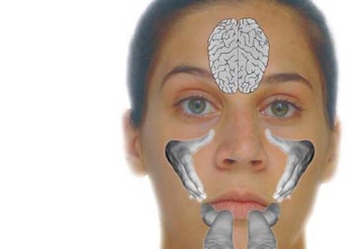 Puntos de Reflexología facial Puntos de Reflexología facial