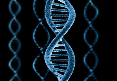 La genómica nutricional permitirá tratar los problemas de la piel con un menú adecuado a los genes La genómica nutricional permitirá tratar los problemas de la piel con un menú adecuado a los genes