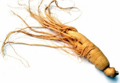 Las contraindicaciones del ginseng Las contraindicaciones del ginseng