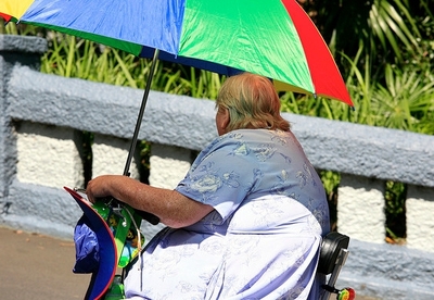 Grelina: ¿verdadera culpable de la obesidad? Grelina: ¿verdadera culpable de la obesidad?