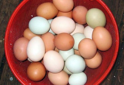 P & R: ¿Los huevos colorados son más nutritivos que los blancos? P & R: ¿Los huevos colorados son más nutritivos que los blancos?