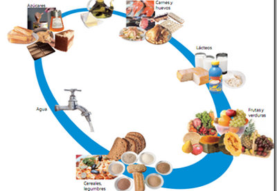 Nutricion | ¿Que son los nutrientes? Nutricion | ¿Que son los nutrientes?