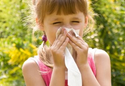 Las alergias más comunes en niños Las alergias más comunes en niños