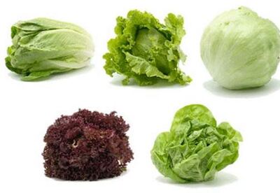 Lechuga, la reina para adelgazar Lechuga, la reina para adelgazar