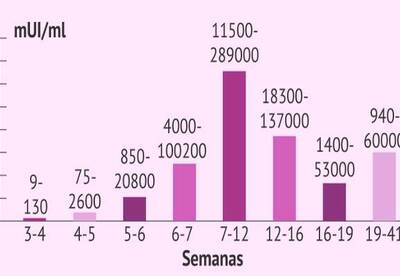 Niveles Beta en el Embarazo Niveles Beta en el Embarazo