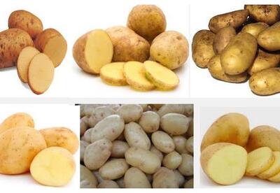 Nutrientes de la papa o patata Nutrientes de la papa o patata