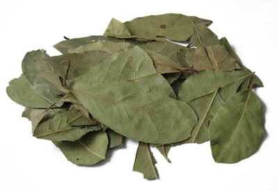 Para que sirve el laurel Para que sirve el laurel