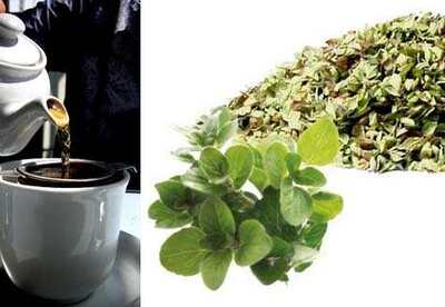 Para que sirve el te de oregano Para que sirve el te de oregano