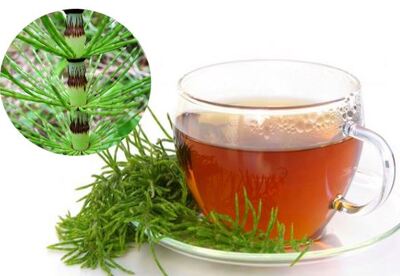 Para qué sirve la cola de caballo en cápsulas o infusión Para qué sirve la cola de caballo en cápsulas o infusión