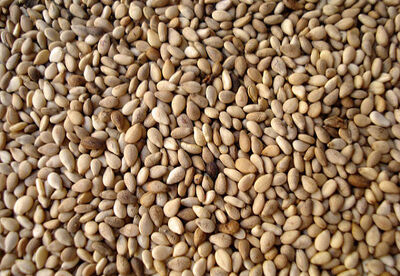 El sésamo y sus propiedades nutricionales El sésamo y sus propiedades nutricionales