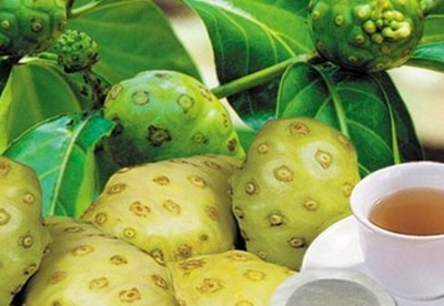 Remedios caseros con frutos de Noni Remedios caseros con frutos de Noni