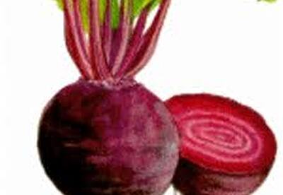 La remolacha es una gran fuente de potasio La remolacha es una gran fuente de potasio