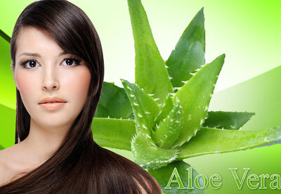 Sábila para el cabello maltratado Sábila para el cabello maltratado