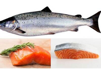 Salmón, trucos y secretos útiles Salmón, trucos y secretos útiles