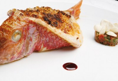 Salmonete, un pescado muy bueno Salmonete, un pescado muy bueno