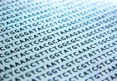 Diseñan una terapia génica que induce el ‘suicidio’ de las células cancerígenas Diseñan una terapia génica que induce el ‘suicidio’ de las células cancerígenas