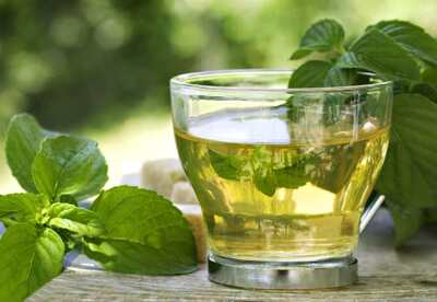 Importancia del Té Verde en la dieta diaria Importancia del Té Verde en la dieta diaria