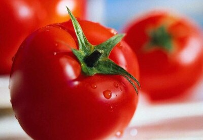 El tomate, un alimento previsor (Parte 1) El tomate, un alimento previsor (Parte 1)