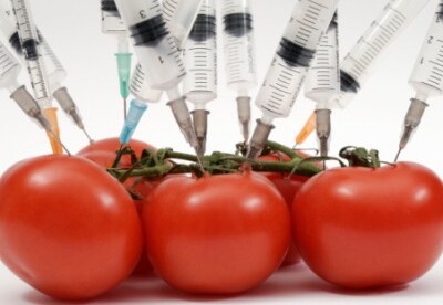 Algunos alimentos que son transgénicos Algunos alimentos que son transgénicos