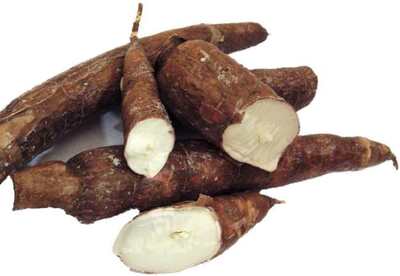 Propiedades de la Yuca Propiedades de la Yuca