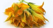 Las flores de calabaza, beneficios Las flores de calabaza, beneficios