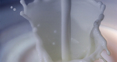 Alergia a la leche Alergia a la leche