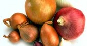 Quercetina, un flavonoide con muchas propiedades Quercetina, un flavonoide con muchas propiedades