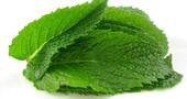 Combatir el acné con la menta Combatir el acné con la menta