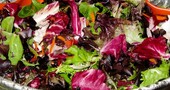 Es malo consumir solamente frutas y verduras Es malo consumir solamente frutas y verduras