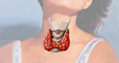 Euthyrox, ¿para hipotiroidismo o perder peso? Euthyrox, ¿para hipotiroidismo o perder peso?